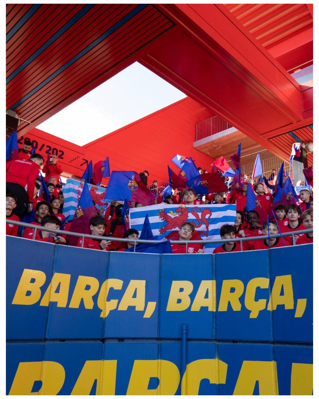 photo 5951824546631454145 y