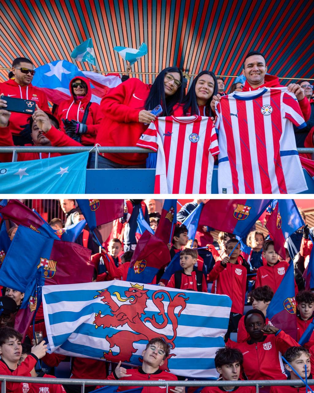 photo 5951824546631454146 y