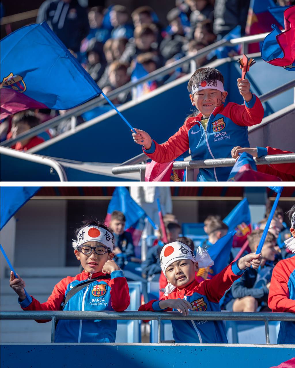 photo 5951824546631454147 y