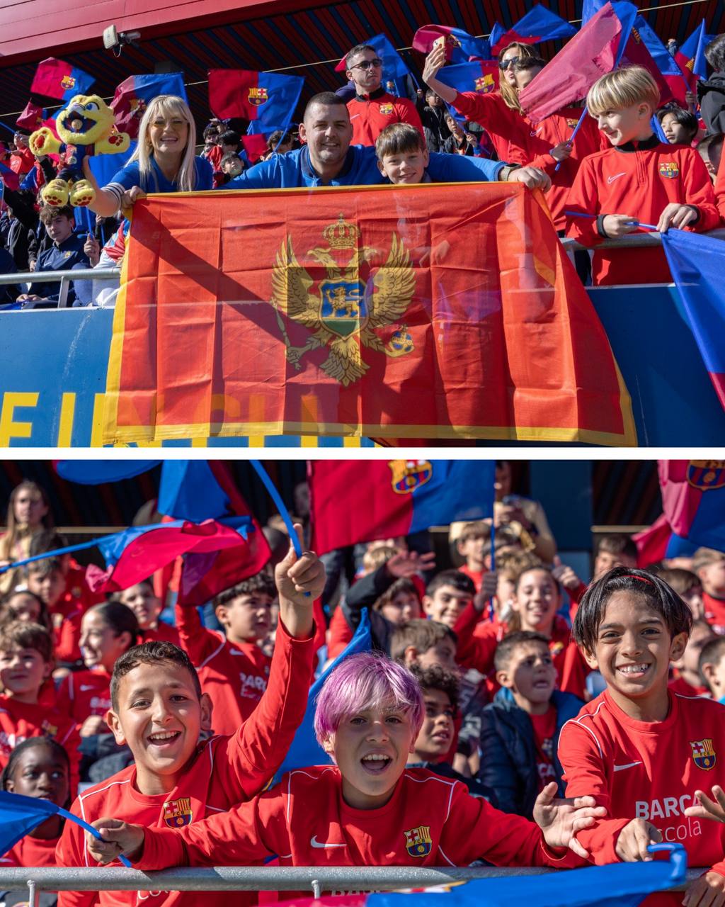 photo 5951824546631454149 y