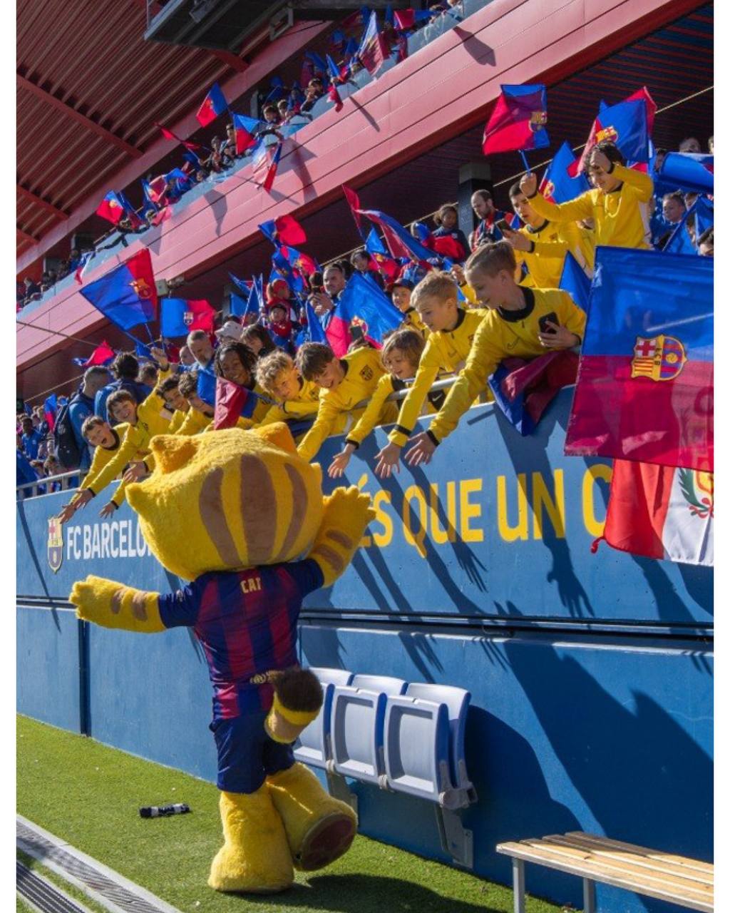 photo 5951824546631454151 y