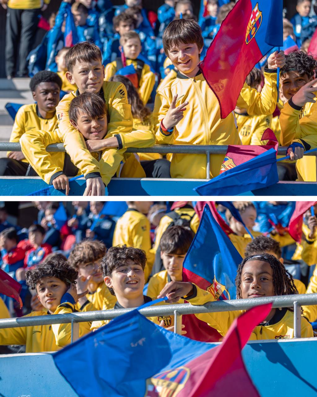 photo 5951824546631454153 y