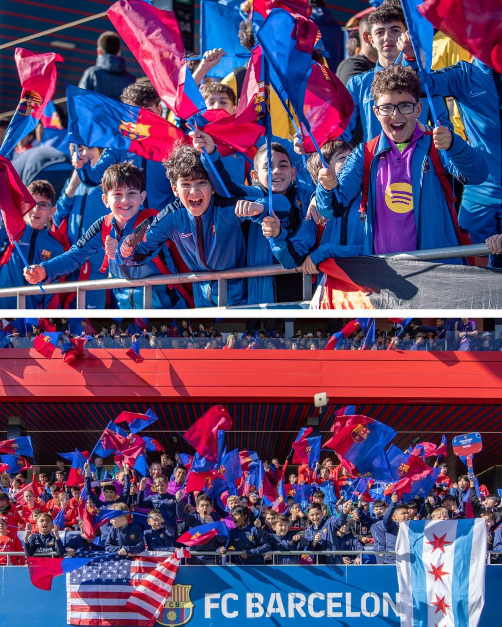 photo 5951824546631454155 y